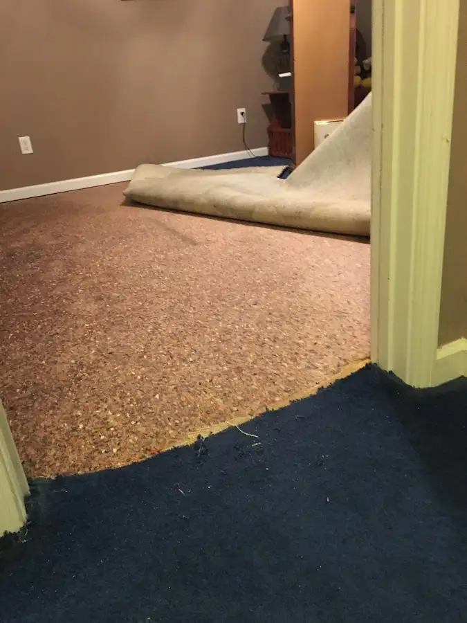 Carpet pad removal revealing water damage during Water Mitigation Services in Rapho