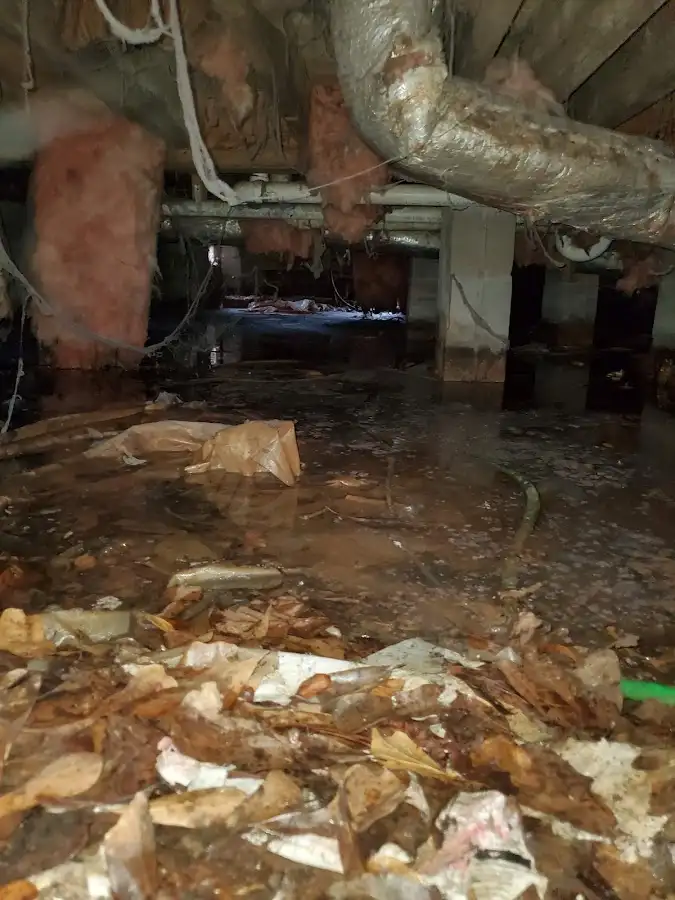 Crawl space flood assessment for Leak Detection & Repair in Rapho